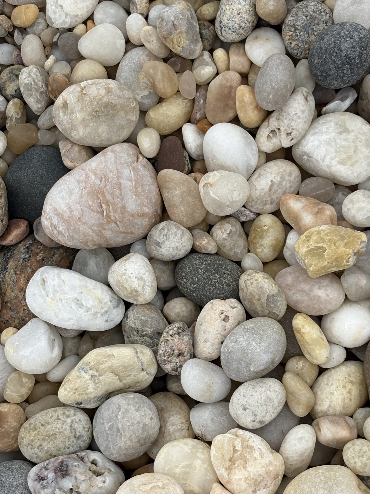 Smooth beach stones of many colours resting together